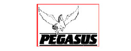 Pegasus Hobbies Logo (UK)